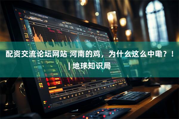 配资交流论坛网站 河南的鸡，为什么这么中嘞？！| 地球知识局