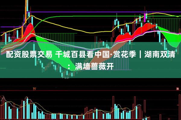 配资股票交易 千城百县看中国·赏花季｜湖南双清：满墙蔷薇开