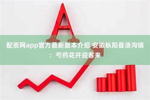 配资网app官方最新版本介绍 安徽枞阳县汤沟镇：芍药花开迎客来